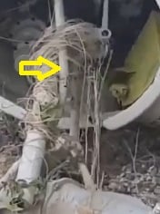 Name:  Helicopter%20Crashed%20on%20Bali%20Entangled%20in%20Kite%20Strings%20-%20Copy.jpg
Views: 78
Size:  8.9 KB