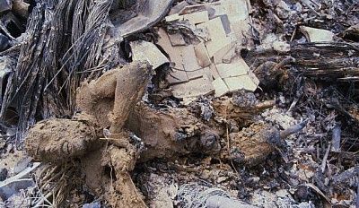 b3.jpg