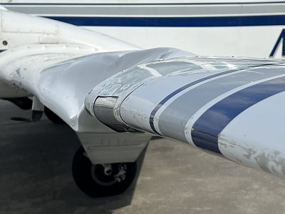 beech-e-55-bird.jpg