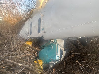 cessna-140-crash-near.jpg
