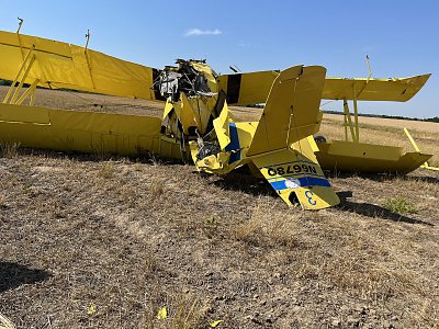 grumman-schweizer-g-164b.jpg