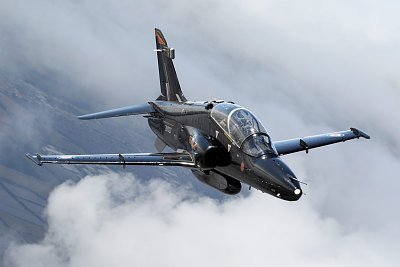 hawk-t2-1536x1024.jpeg