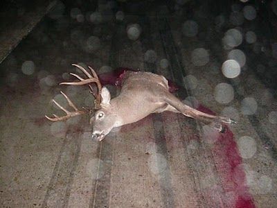 plane6.jpg