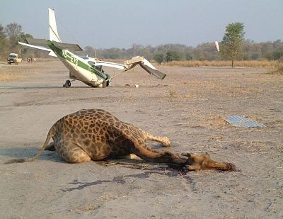 charonboat_dot_com_plane_crash1.jpg