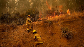 ChileFirefighters.png