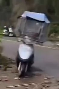 ride.jpg
