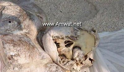 tsunami_victims_002.jpg