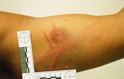 dilcia-mejia-killed-28.jpg