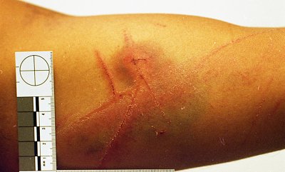 dilcia-mejia-killed-30.jpg