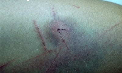 dilcia-mejia-killed-32.jpg