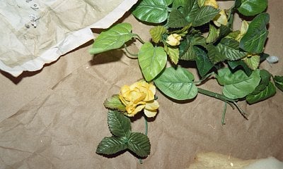 dilcia-mejia-killed-71.jpg