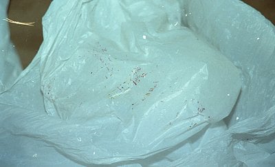 dilcia-mejia-killed-121.jpg