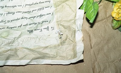 dilcia-mejia-killed-166.jpg