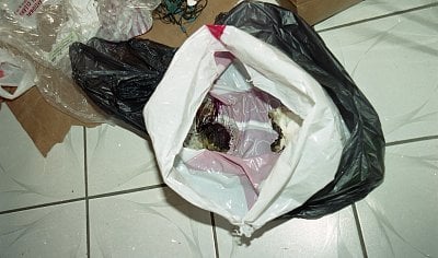dilcia-mejia-killed-172.jpg
