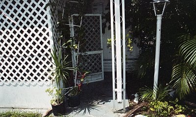 dilcia-mejia-killed-199.jpg