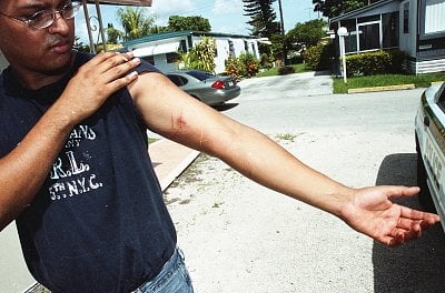 dilcia-mejia-killed-245.jpg