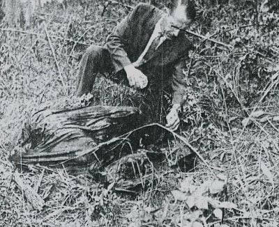 tentgirlcoroner2.jpg
