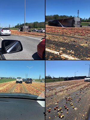 truckload-apples-spilled.jpg