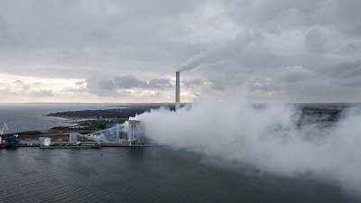 studstrup-power-station-pellet.jpg