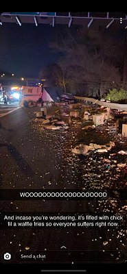 waffle-fries-spilled.jpg
