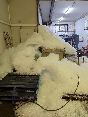 ice-storage-failure-leaves.jpg