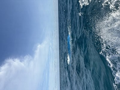 image_9734875.jpg
