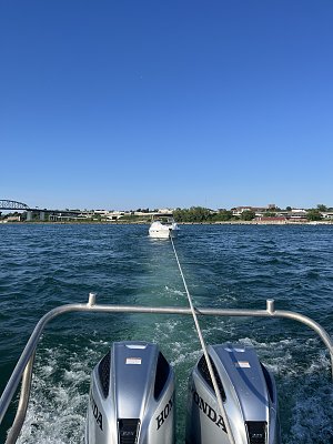 image_9140479.jpg