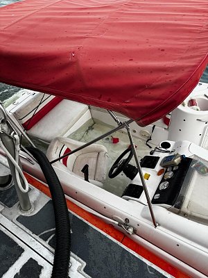 image_9133517.jpg