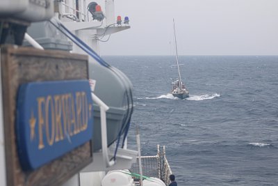 image_9046613.jpg