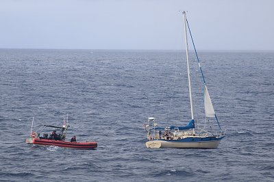 image_8833928.jpg