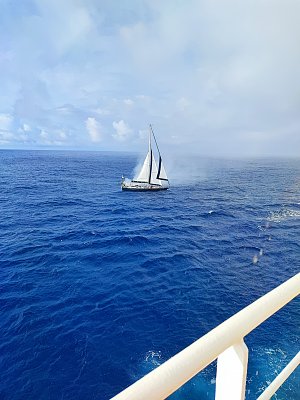 image_8785793.jpg