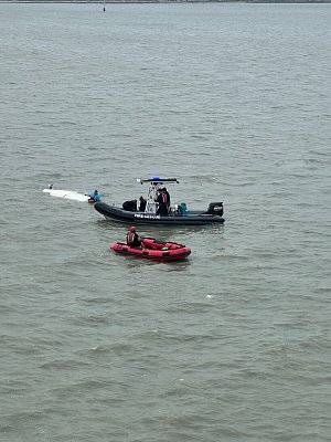 image_8329622.jpg