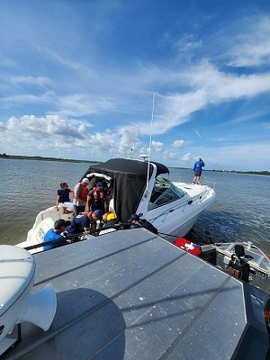 image_8367649.jpg