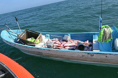 image_8161163.jpg
