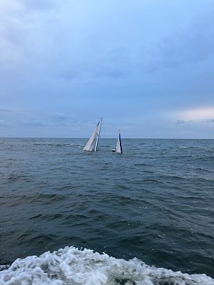 image_8071106.jpg
