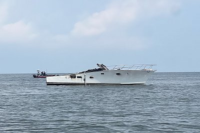 image_7919724.jpg