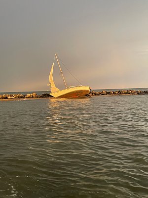 image_7850812.jpg