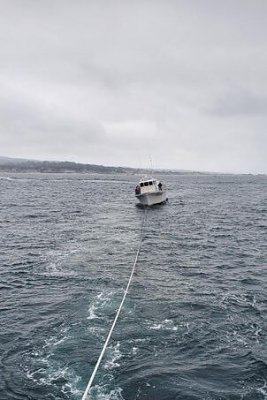 image_7853487.jpg