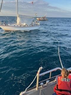 image_7799485.jpg