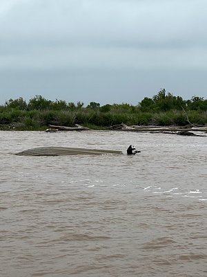 image_7794028.jpg