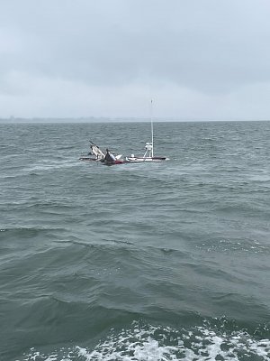 image_7825188.jpg