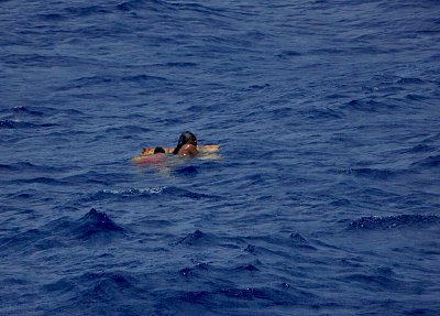 image_7629826.jpg