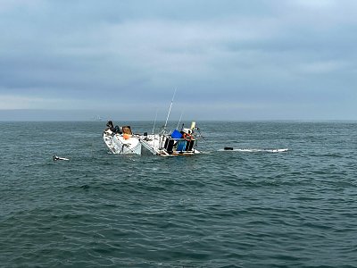 image_7608848.jpg