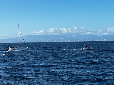 image_7547440.jpg