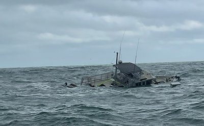 image_7512165.jpg