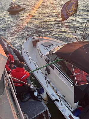 image_7509952.jpg