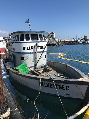 image_7488707.jpg