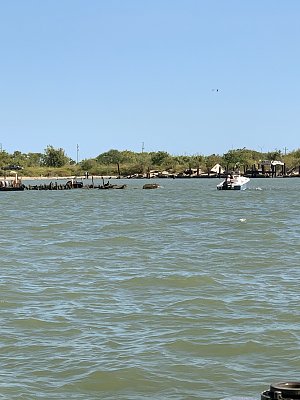 image_7472975.jpg