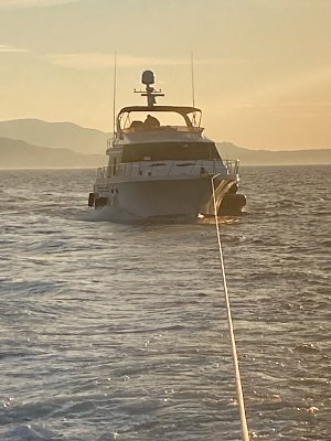 image_7451308.jpg