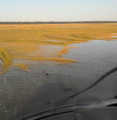 image_7475826.jpg